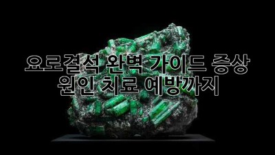 요로결석 완벽 가이드: 증상, 원인, 치료, 예방까지!