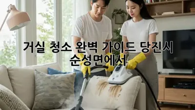 거실 청소 완벽 가이드: 당진시 순성면에서 ✨