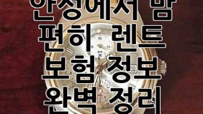 안성에서 맘 편히 🚗 렌트! 보험 정보 완벽 정리
